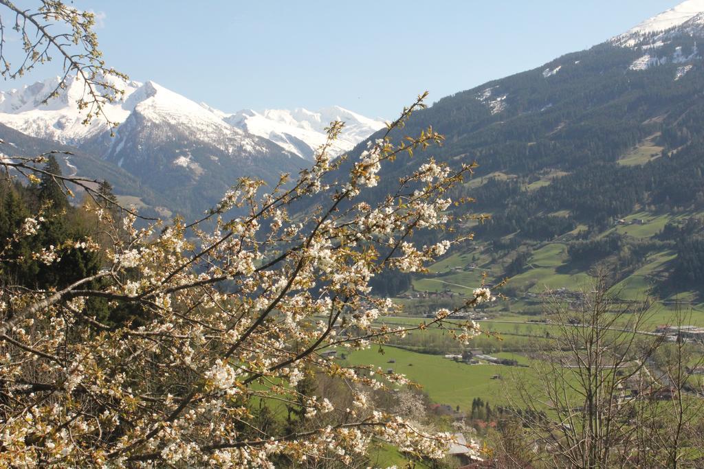 Villa Bauernhof Grussberggut Bad Hofgastein Esterno foto